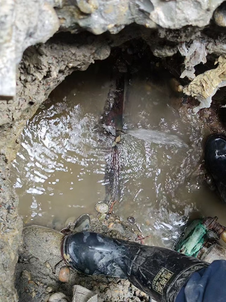 马关县本地服务：小区水管漏水检测维修